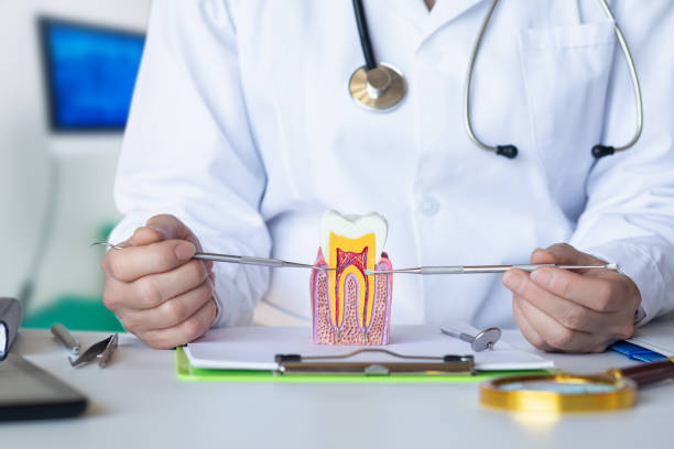 Best Walk-In Emergency Dental Services in New Rockford, ND